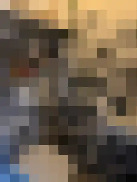 Anna van Burenstraat 15 Pijnacker thumbnail 6