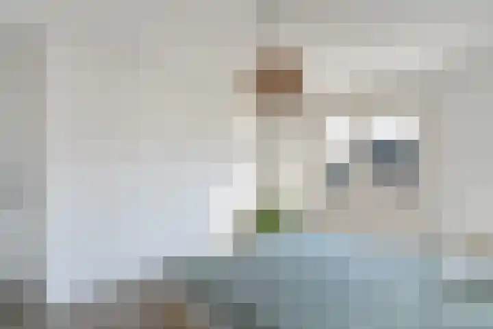 Anna van Burenstraat 2 Weert thumbnail 23