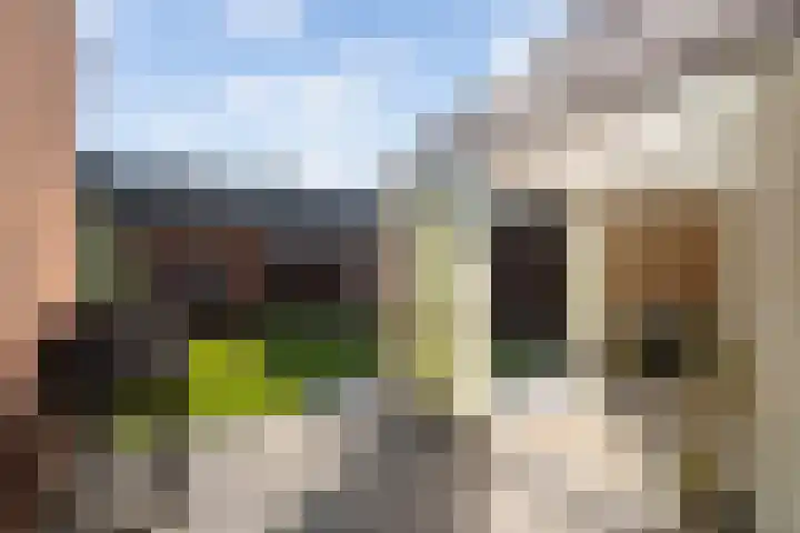 Anna van Burenstraat 2 Weert thumbnail 37