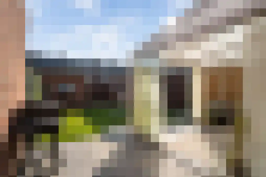 Anna van Burenstraat 2 Weert thumbnail 37