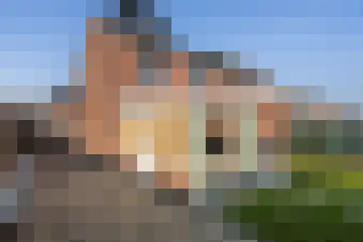 Anna van Burenstraat 2 Weert thumbnail 42