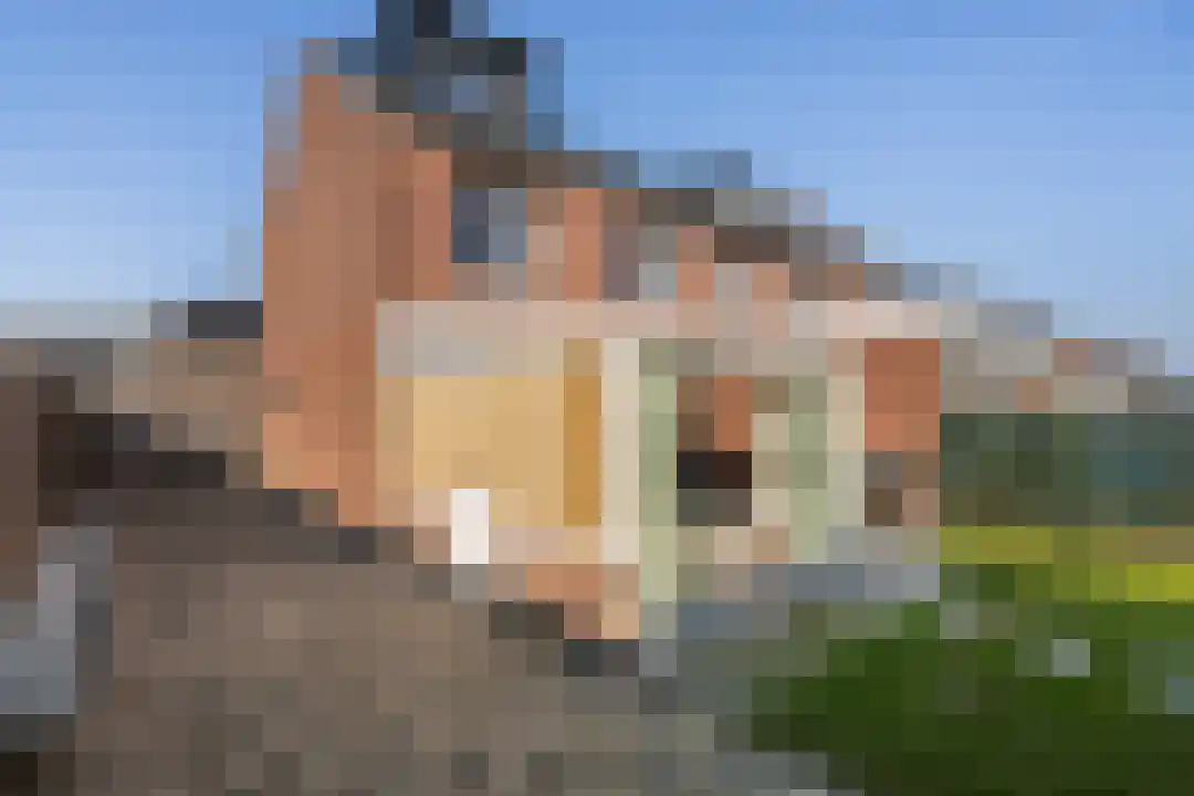 Anna van Burenstraat 2 Weert thumbnail 42