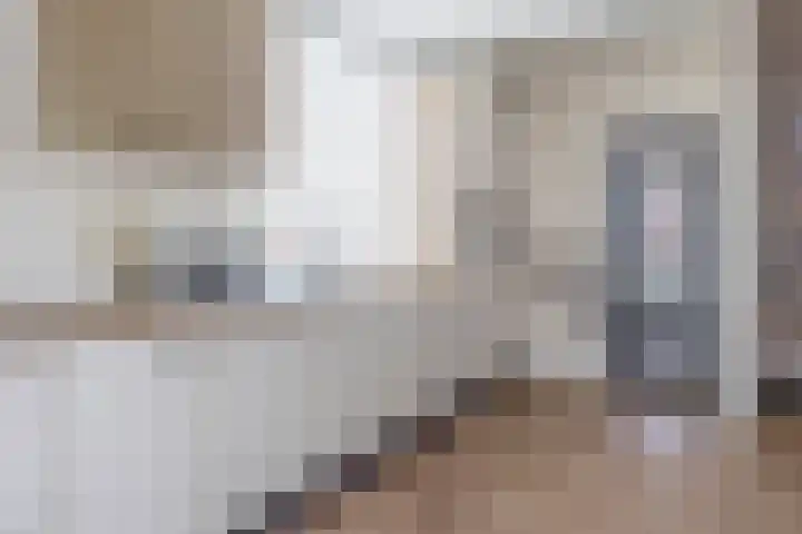 Anna van Burenstraat 21 Lopik thumbnail 17