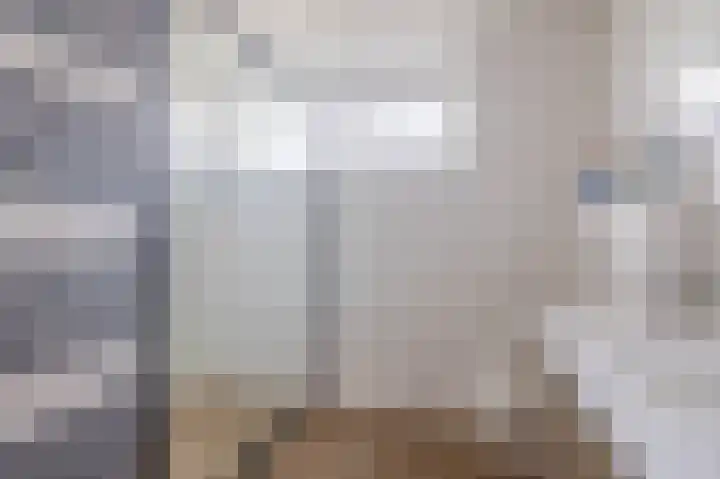 Anna van Burenstraat 21 Lopik thumbnail 5