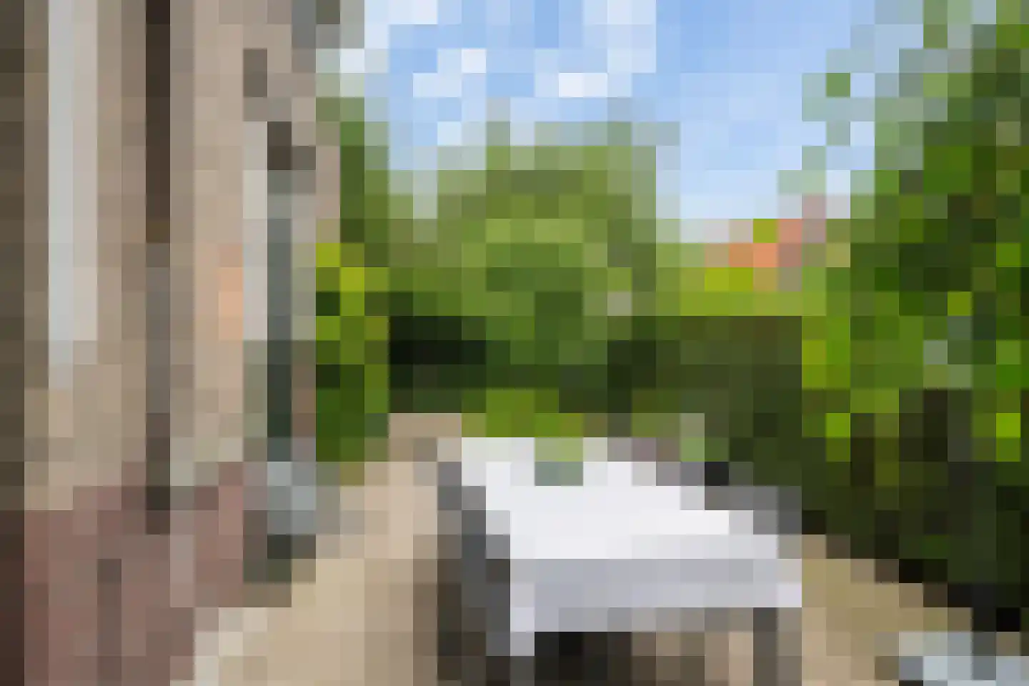 Anna van Burenstraat 21 Schiedam thumbnail 14