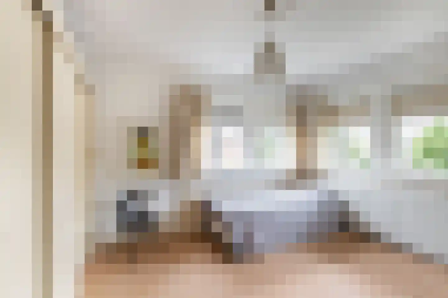 Anna van Burenstraat 21 Schiedam thumbnail 23