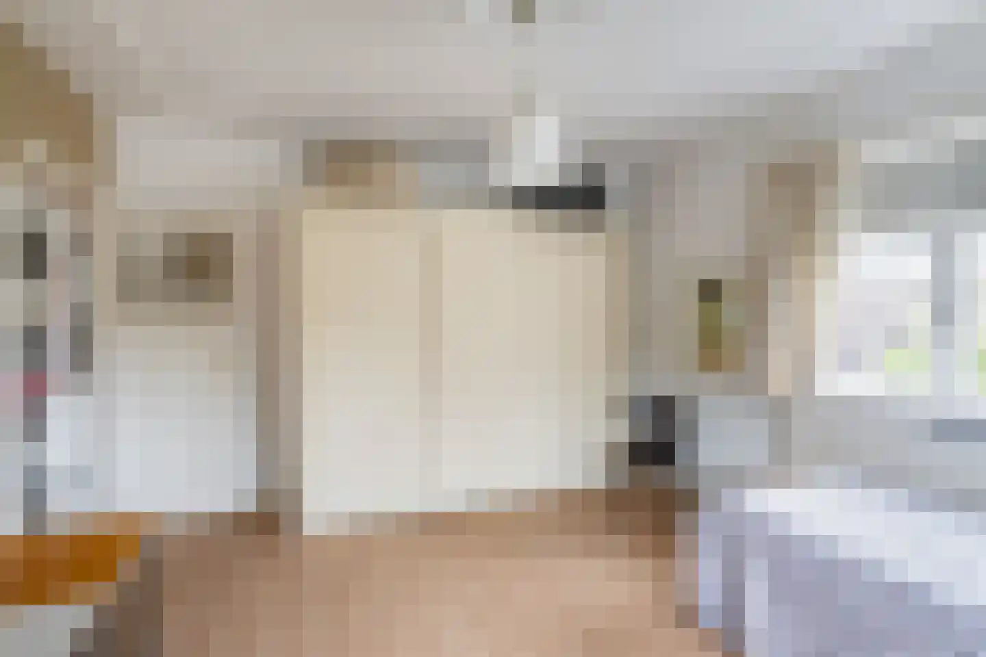 Anna van Burenstraat 21 Schiedam thumbnail 25