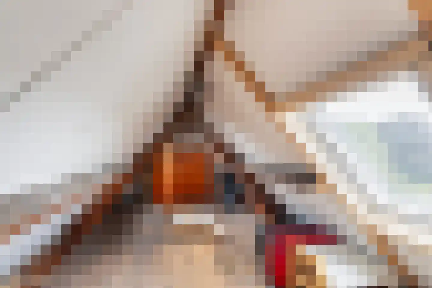 Anna van Burenstraat 21 Schiedam thumbnail 39