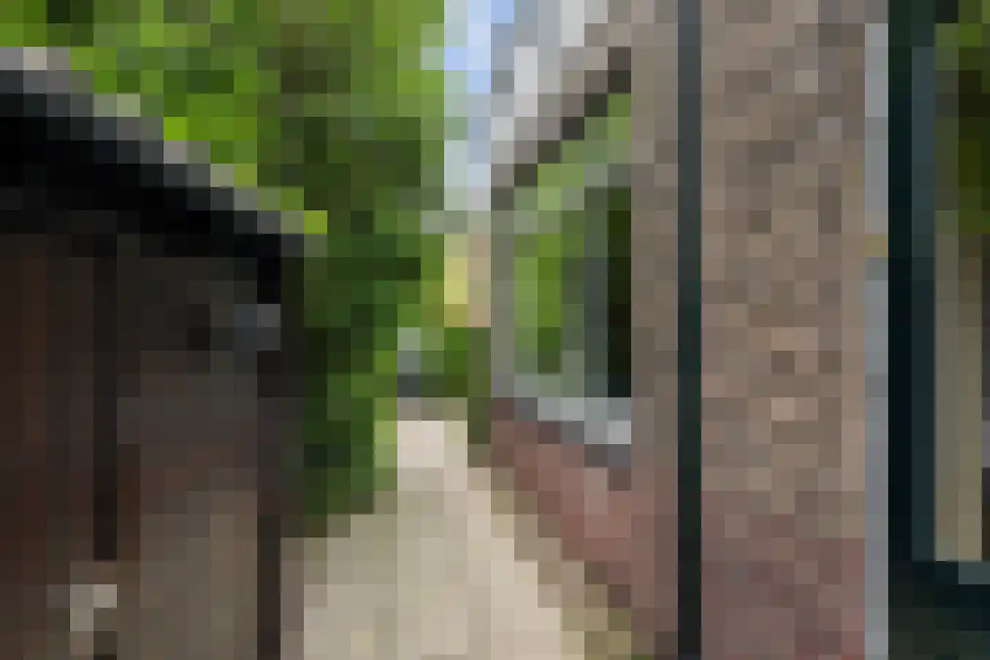 Anna van Burenstraat 21 Schiedam thumbnail 46