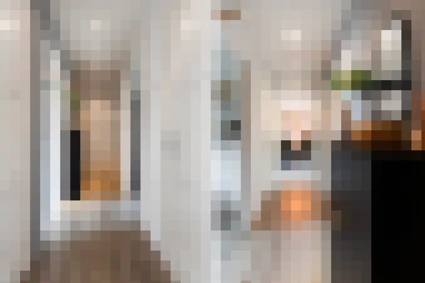 Anna van Burenstraat 22 Dordrecht thumbnail 6