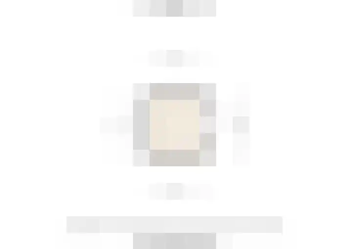 Anna van Burenstraat 24 Dordrecht thumbnail 19