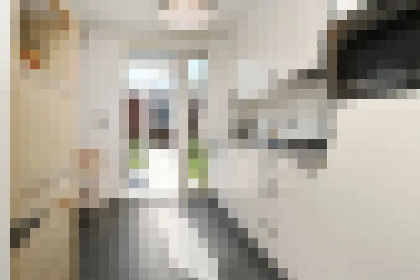 Anna van Burenstraat 32 Weert thumbnail 15