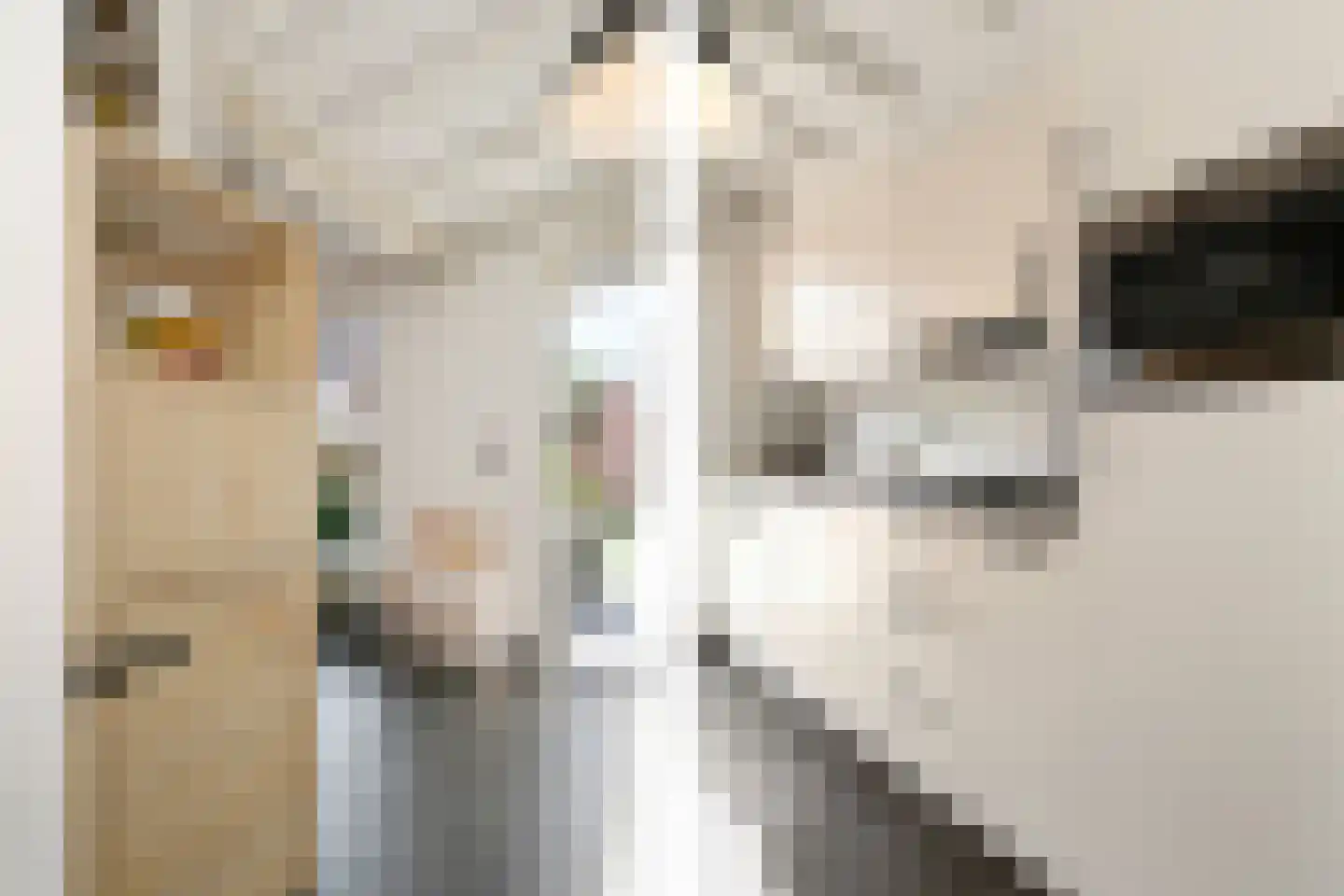 Anna van Burenstraat 32 Weert thumbnail 16