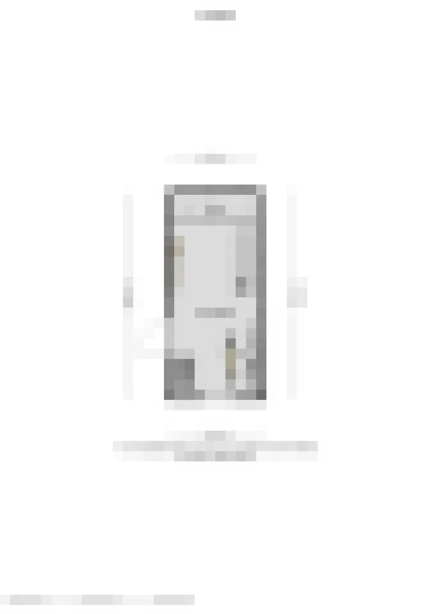Anna van Burenstraat 32 Weert thumbnail 34
