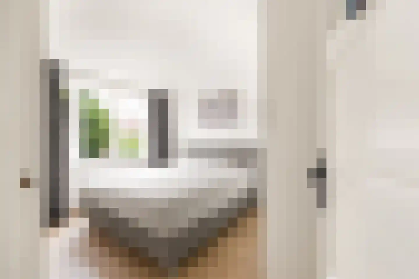 Anna van Burenstraat 34 Alkmaar thumbnail 7