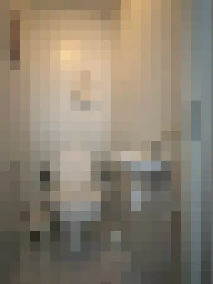 Anna van Burenstraat 4 C Lopik thumbnail 12