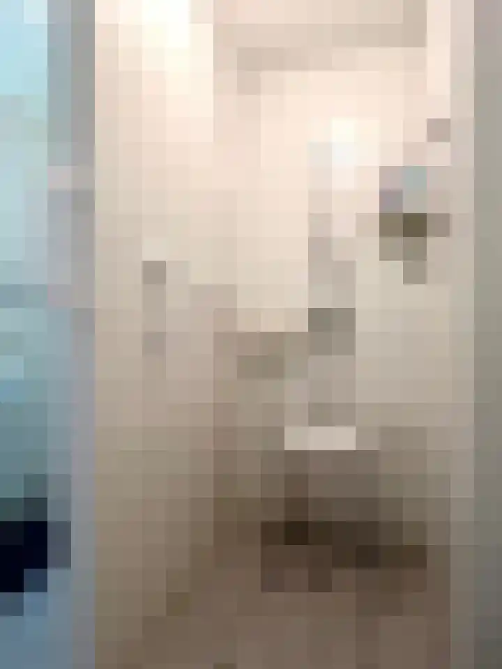 Anna van Burenstraat 4 C Lopik thumbnail 13