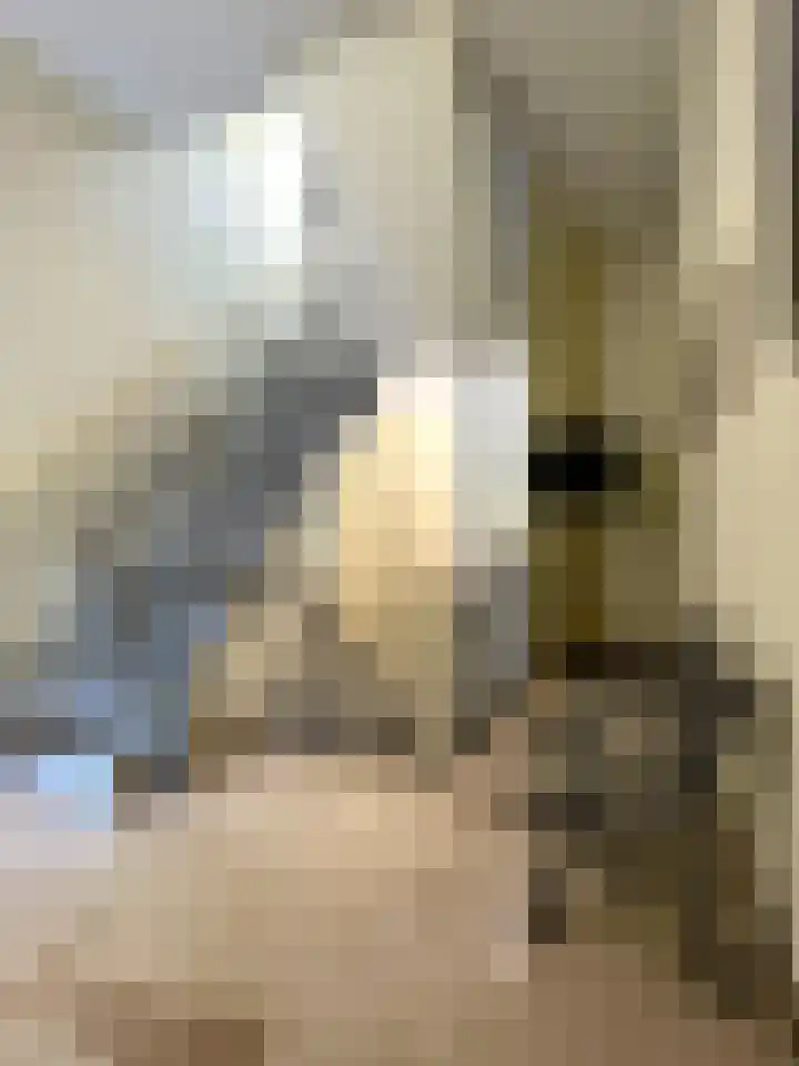 Anna van Burenstraat 4 C Lopik thumbnail 17