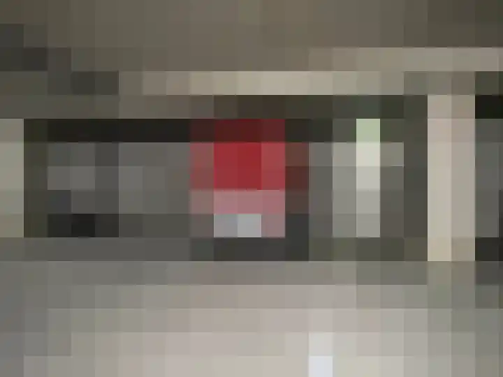 Anna van Burenstraat 4 C Lopik thumbnail 20