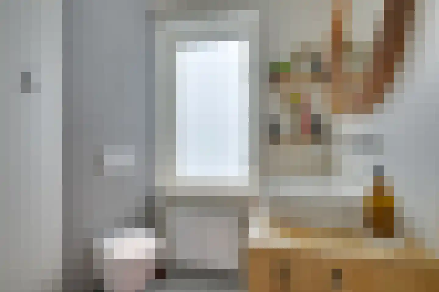 Anna van Burenstraat 40 A Alkmaar thumbnail 28