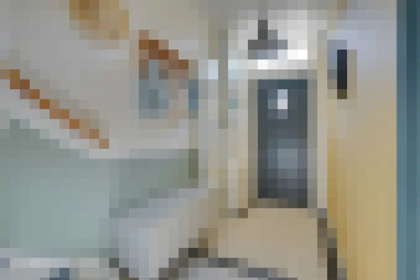 Anna van Burenstraat 40 A Alkmaar thumbnail 6
