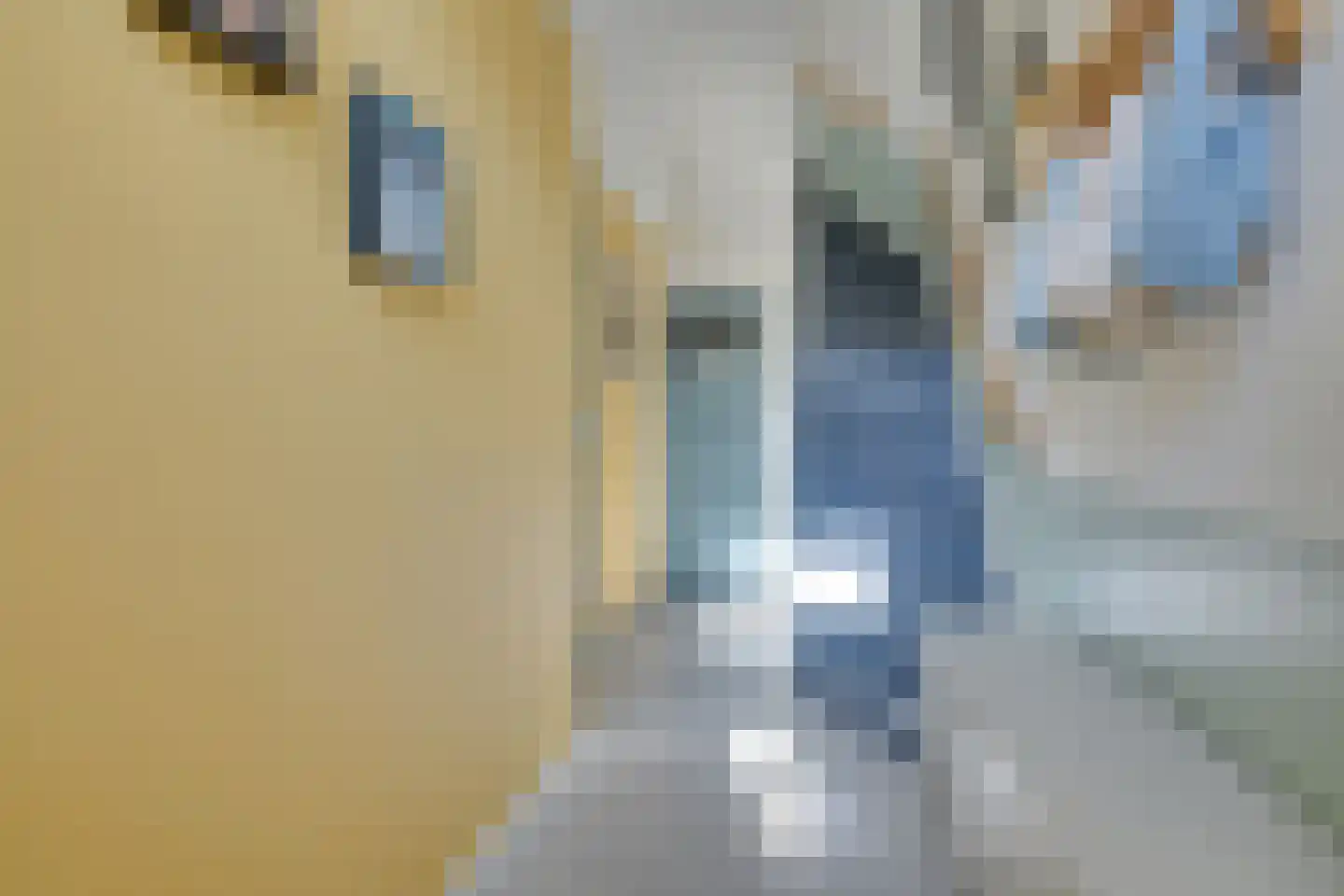 Anna van Burenstraat 40 A Alkmaar thumbnail 7