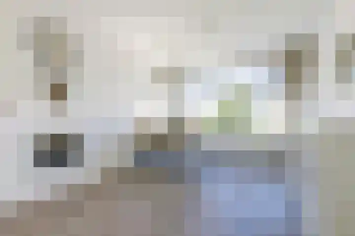 Anna van Burenstraat 46 Dordrecht thumbnail 7