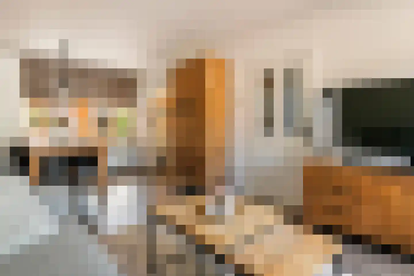 Anna van Burenstraat 6 Buren thumbnail 10