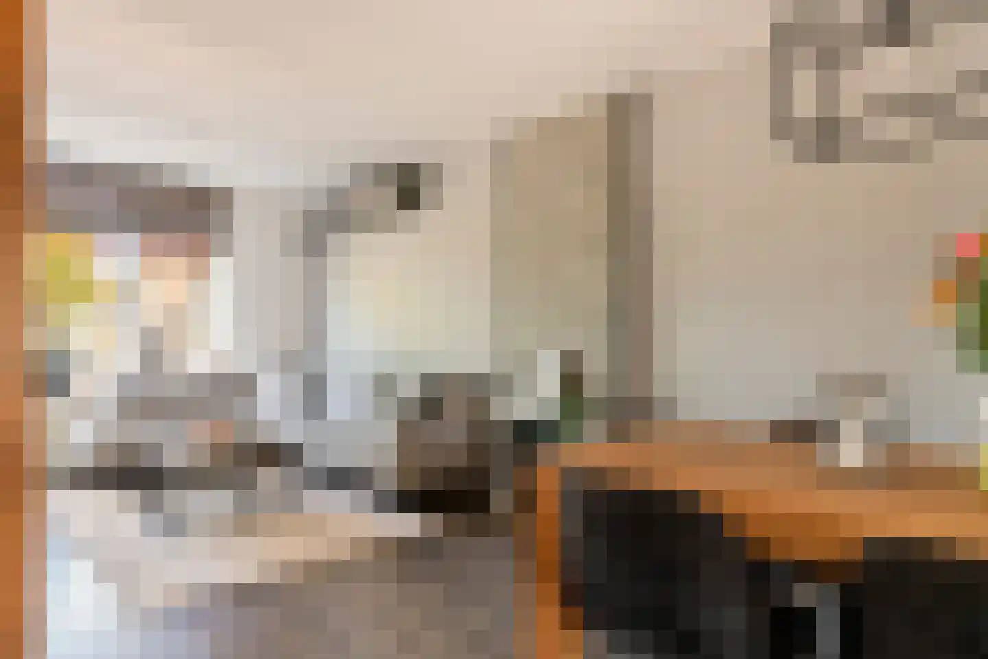 Anna van Burenstraat 6 Buren thumbnail 12