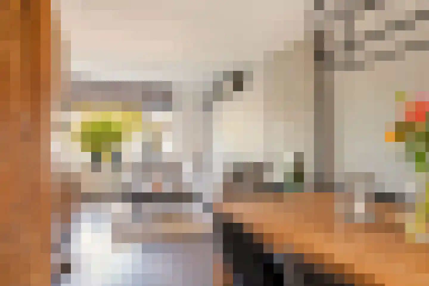 Anna van Burenstraat 6 Buren thumbnail 13