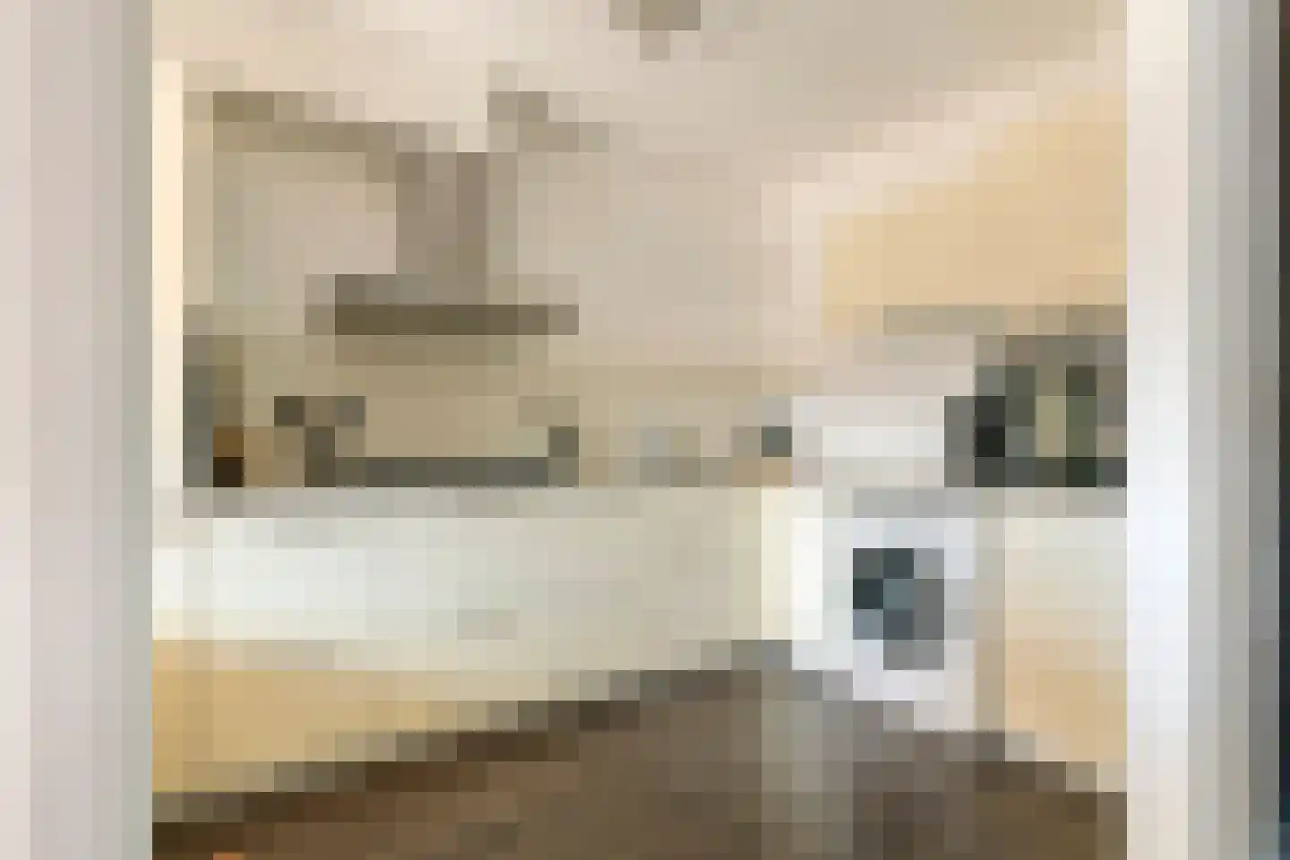 Anna van Burenstraat 6 Buren thumbnail 14
