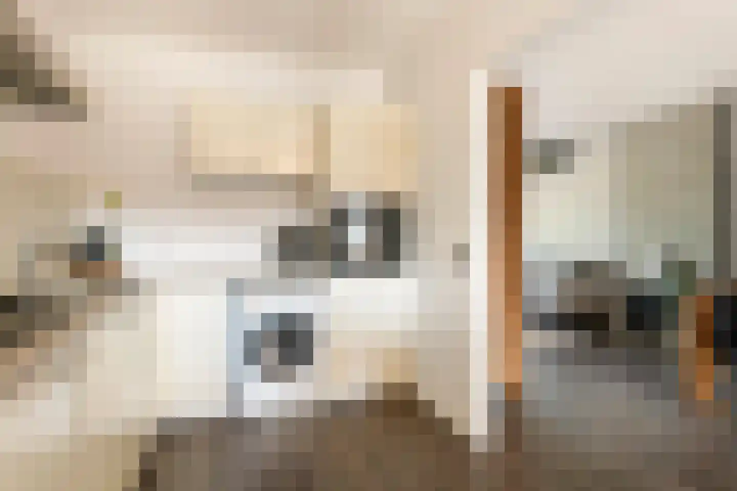 Anna van Burenstraat 6 Buren thumbnail 16