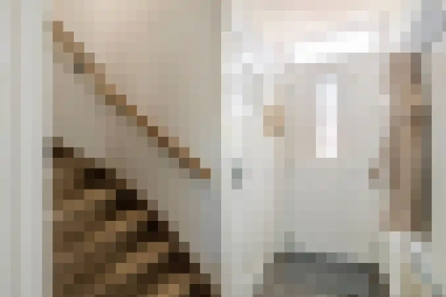 Anna van Burenstraat 6 Buren thumbnail 18