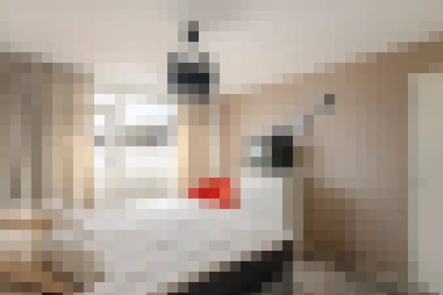 Anna van Burenstraat 6 Buren thumbnail 23