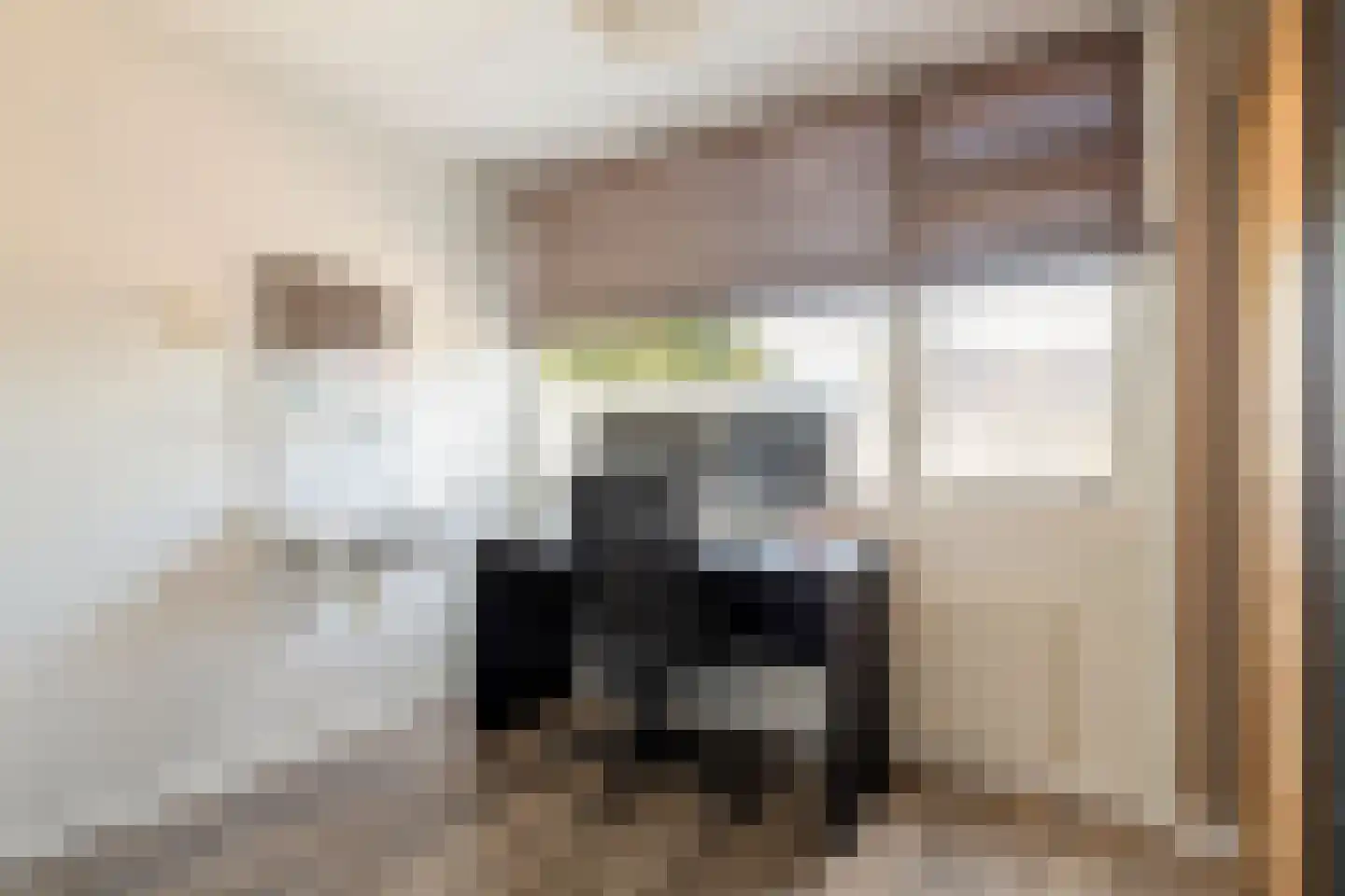Anna van Burenstraat 6 Buren thumbnail 27
