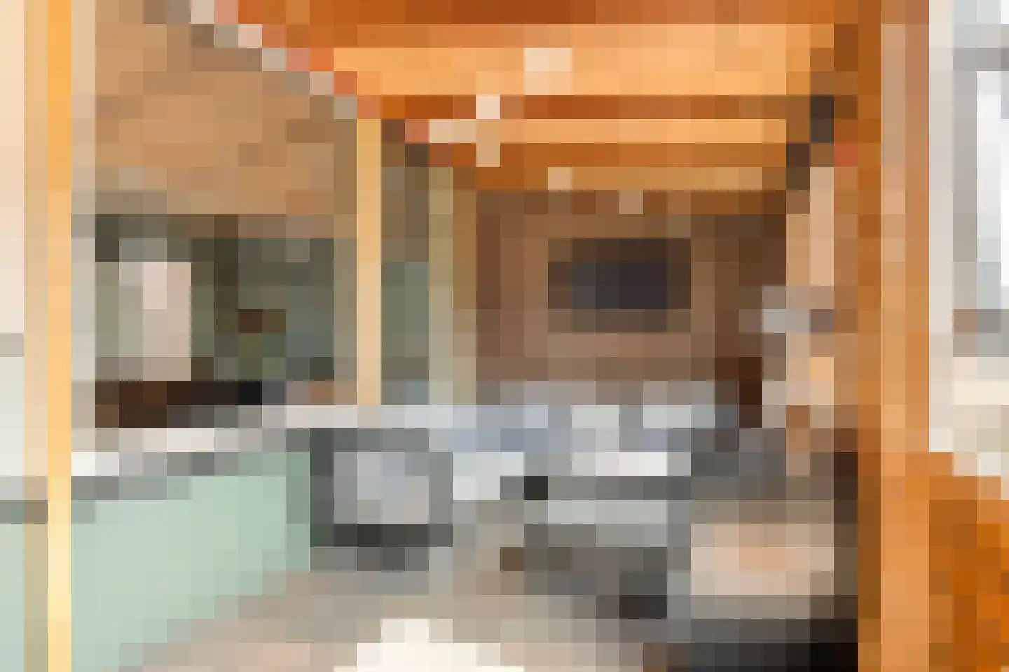 Anna van Burenstraat 6 Buren thumbnail 33