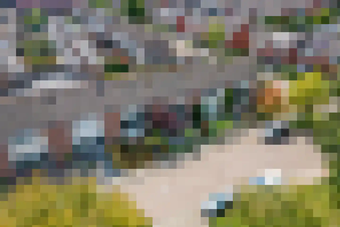 Anna van Burenstraat 6 Buren thumbnail 38