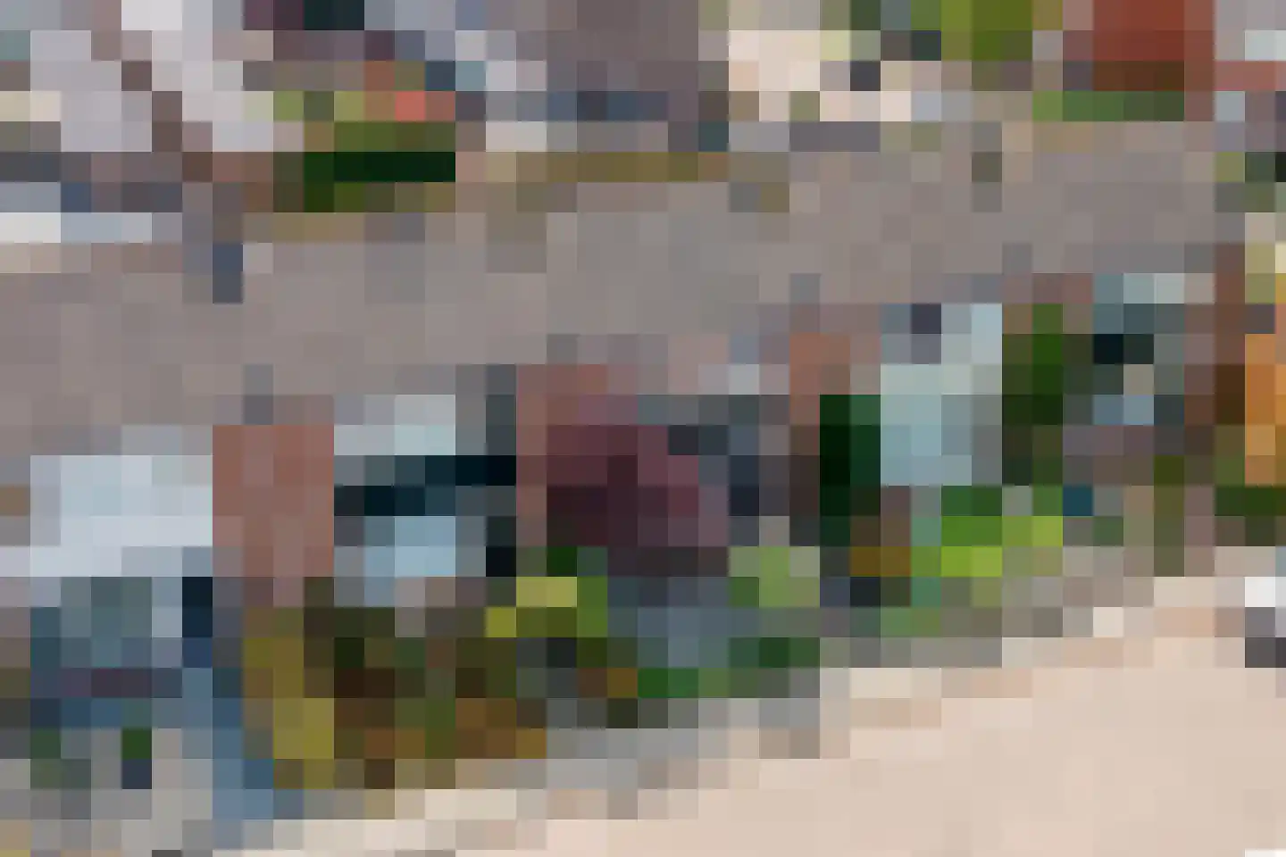 Anna van Burenstraat 6 Buren thumbnail 5