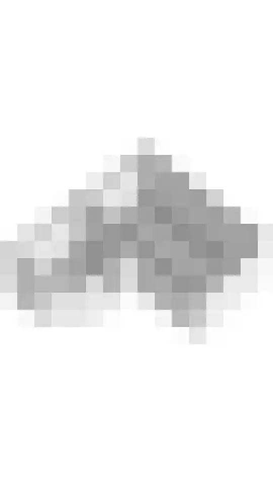 Anna van Burenstraat 6 Buren thumbnail 55