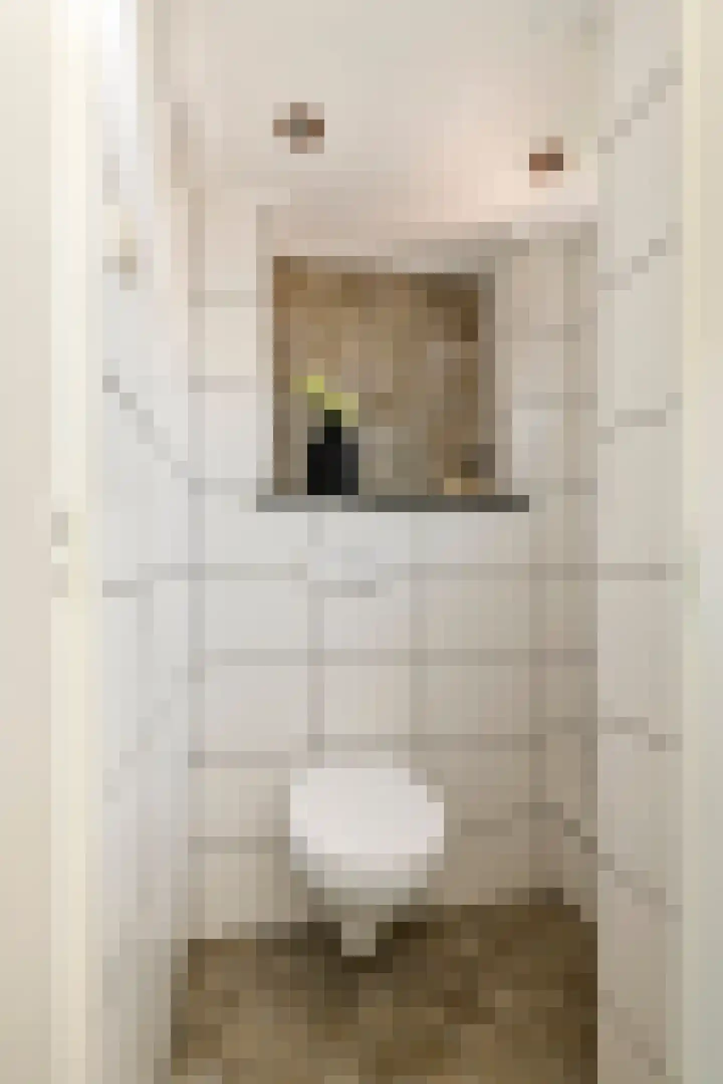 Anna van Burenstraat 6 Buren thumbnail 7