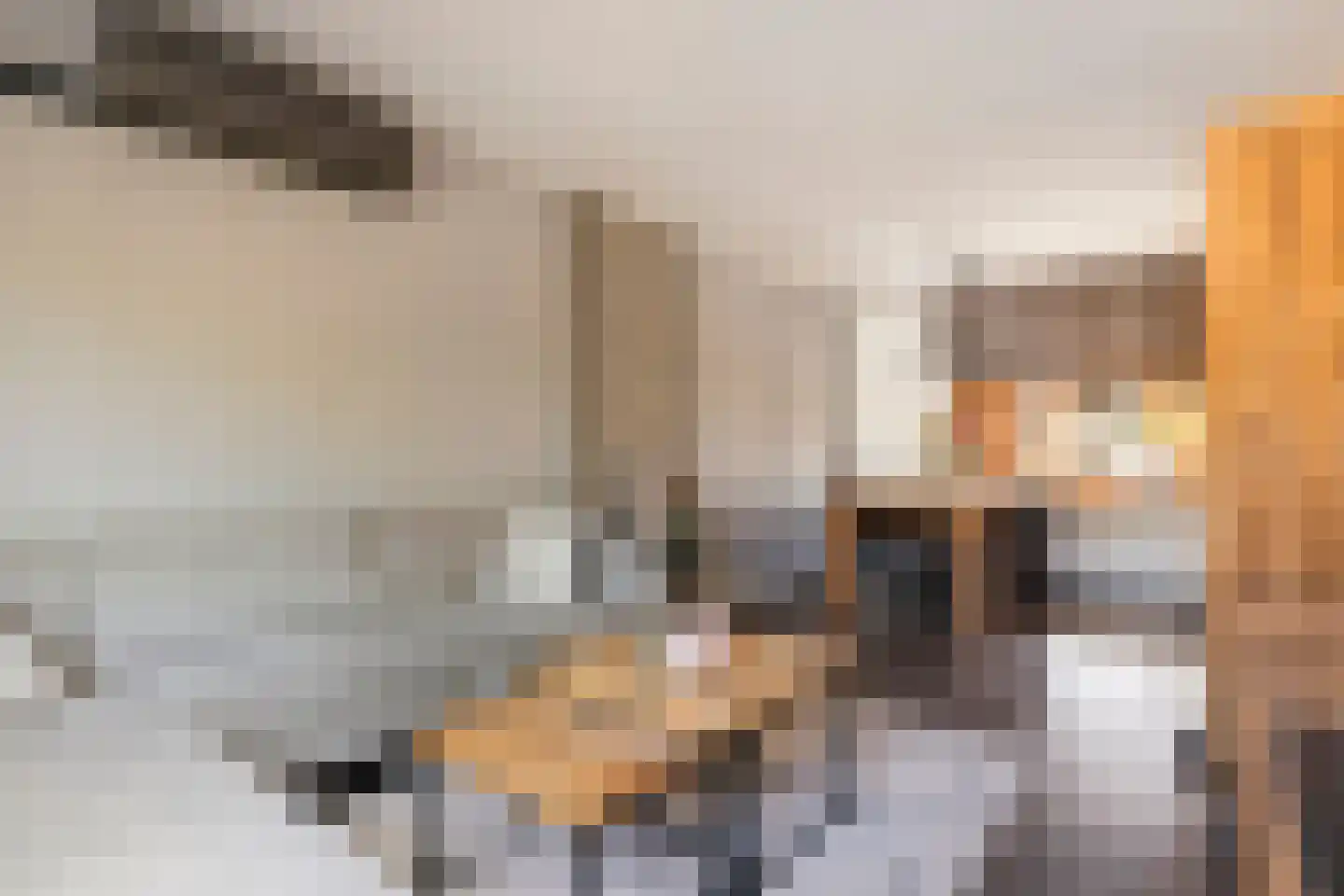 Anna van Burenstraat 6 Buren thumbnail 9
