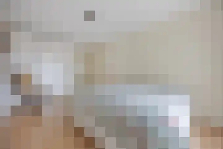 Anna van Burenstraat 60 c Waalwijk thumbnail 18