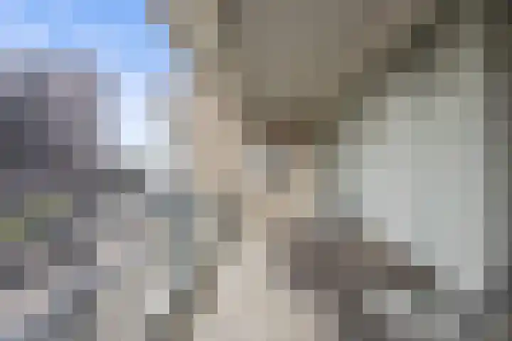 Anna van Burenstraat 60 c Waalwijk thumbnail 20