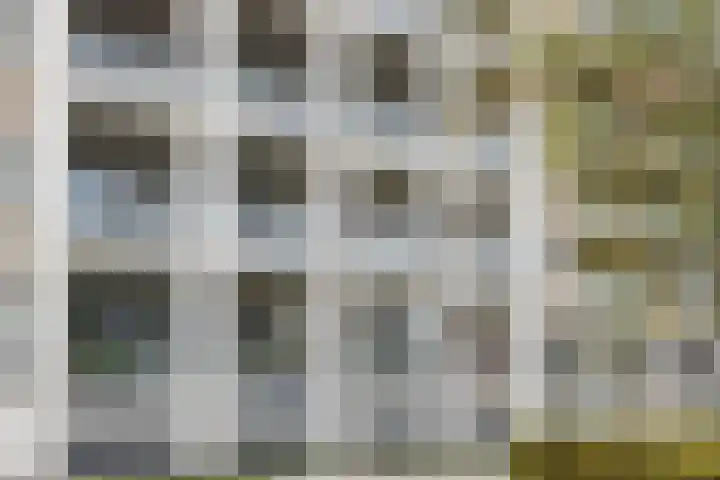 Anna van Burenstraat 60 c Waalwijk thumbnail 39