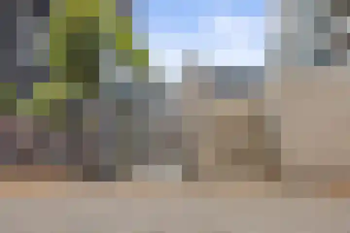 Anna van Burenstraat 60 c Waalwijk thumbnail 41