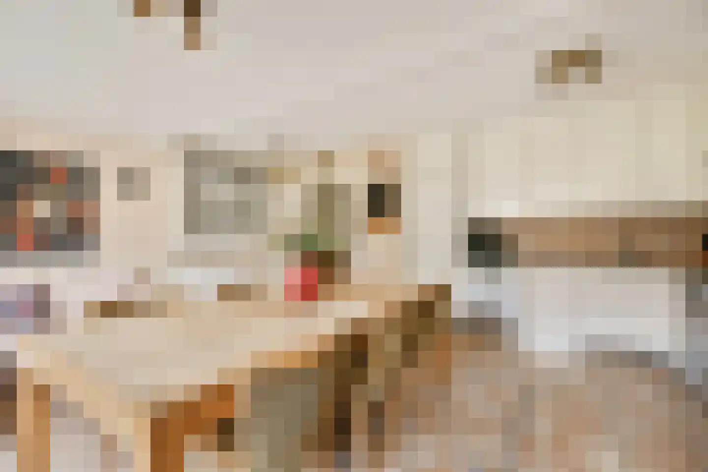 Anna van Burenstraat 70 Vlaardingen thumbnail 13