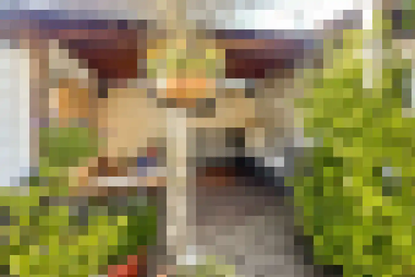 Anna van Burenstraat 70 Vlaardingen thumbnail 30