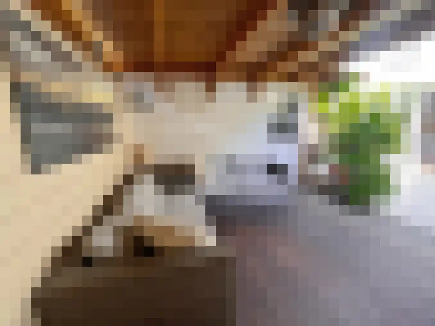Anna van Burenstraat 70 Vlaardingen thumbnail 4