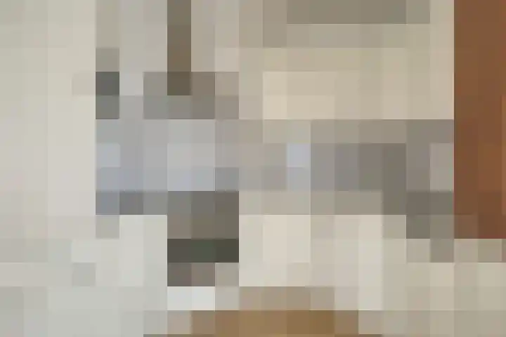 Anna van Burenstraat 8 B Lopik thumbnail 9