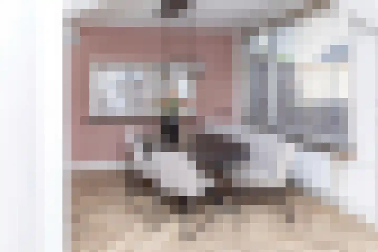 Anna van Burenstraat 9 Buren thumbnail 10